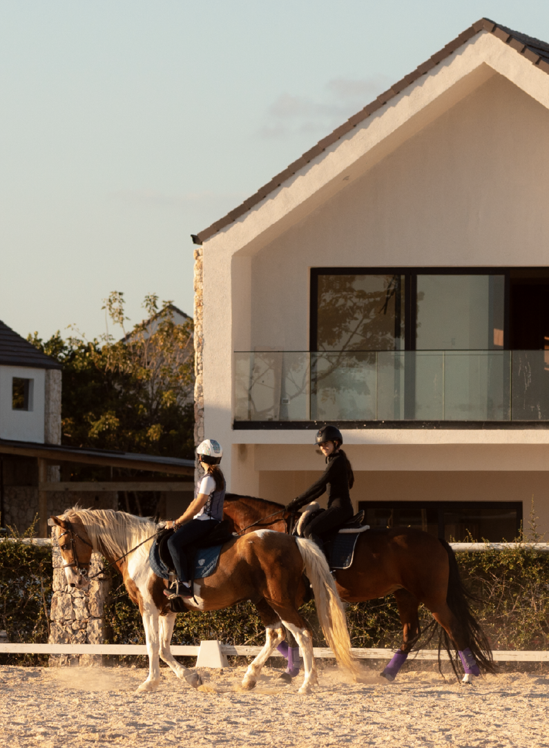 Equestrian Classes