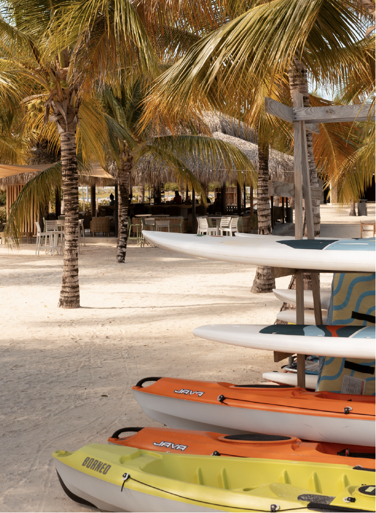 Stand-Up Paddle